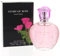 Modaleo new Story of Rose Ladies perfumes very nice smell 100ml for women