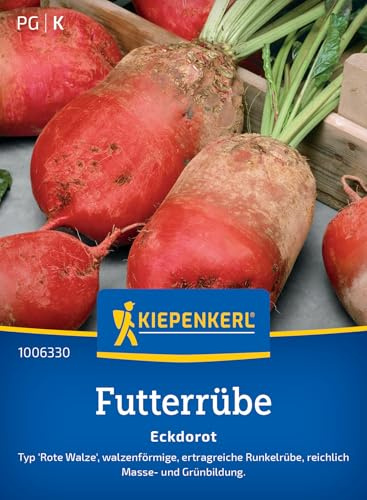 Kiepenkerl Futterrübensamen Eckdorot 1006330 - walzenförmige, ertragreiche Runkelrübe mit Masse- und Grünbildung - Gemüsepflanzen, Saatgut, Samen Gemüse