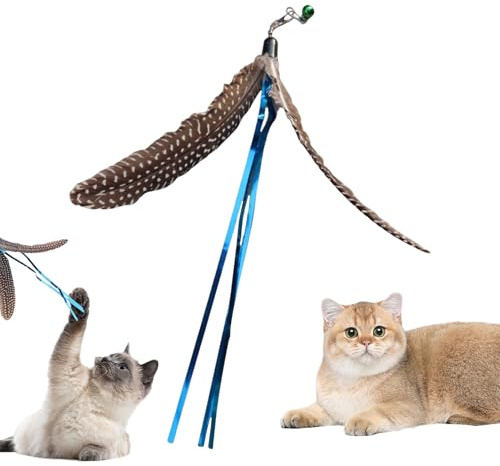 Plume Chat Compagnon pour Chasse Naturelle Et Exercice