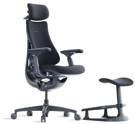LiberNovo Ergonomischer Bürostuhl mit Fußstütze, Schwarz 48cm | Verstellbar mit adaptiver Lendenwirbelstütze, 160° Neigungswinkel und integrierter Wirbelsäulendehnung, Schreibtischstuhl