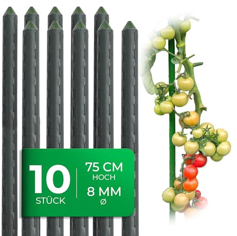 Novatool 10 Stück kleine Pflanzstäbe 75cm grün 8mm stabil Metallrohr kunststoffummantelt Rankstäbe für Pflanzen Rankhilfe Gurken Tomatenstäbe für Kletterpflanzen Rankstab Pflanzstab 75 cm