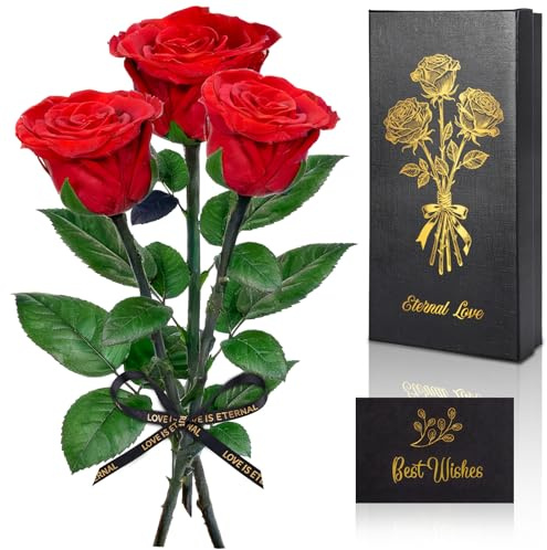 SERIONR Rosa Eterna, 3 Rosas Preservada con Tallo para Regalo de Mujer, Rosas Flores Preservadas para Niñas, Novia, Madre, Cumpleaños, Amiga San Valentín, día de la Madre, Aniversario, Navidad Regalos