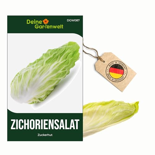 Zichoriensalat Zuckerhut Samen - Cichorium intybus - Salatsamen - Gemüsesamen – Saatgut je Tüte für 150 Pflanzen – 5er Pack