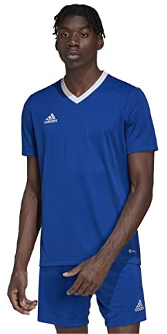 adidas Herren Entrada 22 Graphic Jersey, Team Royal Blue