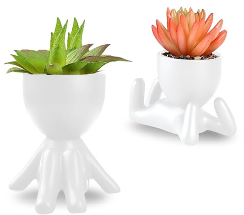 WoRuyKot Paquet de 2 Plantes de Cactus Succulentes Plantes Grasses en Céramique Noire, Petites Fleurs Bonsaï Artificielles Mignonnes en Pot pour la Décoration du Bureau et du Salon (Blanc 1)