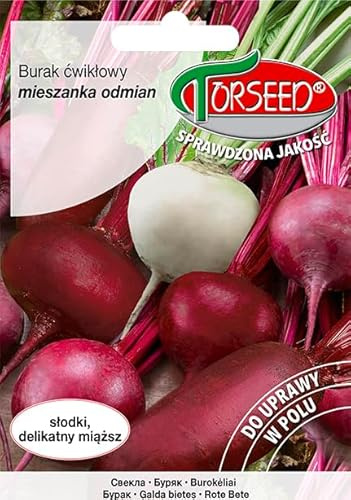 Verdica Vibrante diversidad de semillas de remolacha Beta vulgaris – Colores y formas únicos, perfecto para jugos y ensaladas, crecimiento resistente, óptimo para jardines domésticos