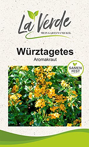 Würztagetes Kräutersamen
