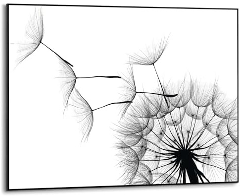 REINDERS Gerahmtes Bild, Pusteblume II, Schlafzimmer, Bilder, Wanddeko, Room Decor, MDF, Schwarz-Weiß, 50 x 70