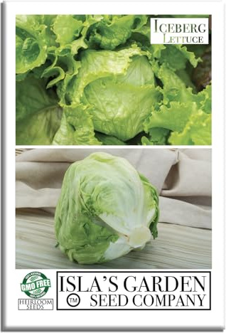 Iceberg Lettuce Seeds (Lactuca Sativa VAR) – 2500+ Heirloom Non-GMO Seeds by Isla’s Garden Seeds, Crisp Round Heads, Cool-Season Crop, Refreshing Flavor, Ideal for Salads & Sandwiches, Easy to Grow