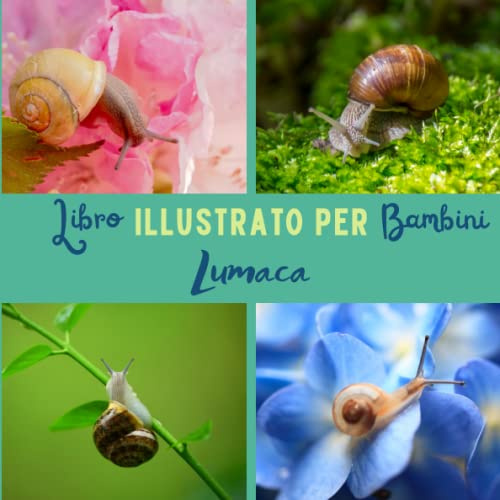 Libro illustrato per bambini - Lumaca: Lumaca in immagini - Bambini da 2 a 5 anni