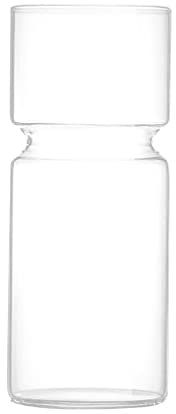 Jarrón hidropónico de jacinto, vidrio de borosilicato alto, artesanía decorativa (transparente)