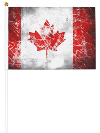 Bandiera del Canada retrò su entrambi i lati, 14 x 20,8 cm, per feste, eventi sportivi e tifosi