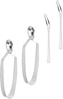 Didiseaon Pinza per Lumache e Forchetta, Set 4 Pezzi in Acciaio Inox
