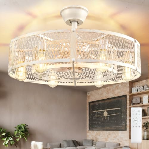 DLLT Ventilateur de plafond avec cage et éclairage: ventilateur rustique de 26 pouces avec éclairage et commande via télécommande - Moteur CC silencieux Ciment blanc pour chambre à coucher ou cuisine