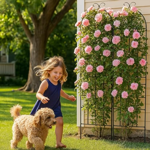 Treillis Métallique pour Jardin - Lot de 2 | Grilles Décoratives 50x180 cm pour Plantes Grimpantes d‘Intérieur/Extérieur | Support pour Rosiers, Vignes, Pots | Écran de Clôture et Mur Résistant Anti-R