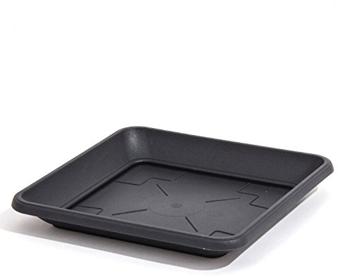 Prosperplast Quadratischer Untersetzer für Blumenkübel Pflanzkübel anthrazit 41 x 41 cm Kunststoff eckig