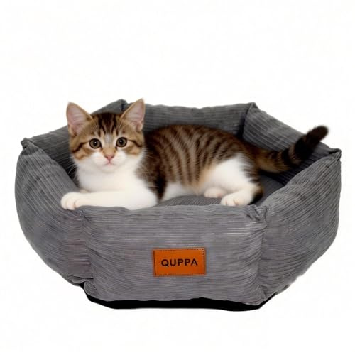 Quppa Ganzjährig Donut-Hundebetten Katzenbett mit Hoher Umrandung, Waschbares Flauschig, Rutschfestes, Rundes Hundebett für Kleine Mittelgroße Hunde,Grau,55 * 15CM