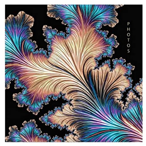 Picture This Black Abstract Feather Cover Photo Album Holds 200 Slip In Family 6'' x 4'' Photographs, Multi