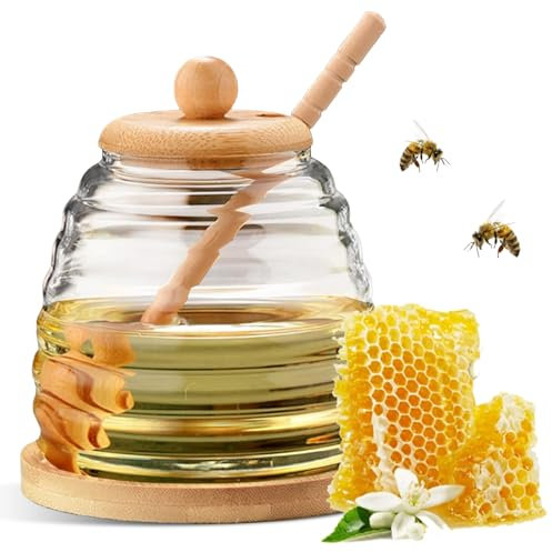 Bcuuozeeing Bicchieri da miele con cucchiaio e coperchio, 500 ml, con cucchiaio per miele, vaso per miele con cucchiaio, vetro per miele e miele con cucchiaio e coperchio