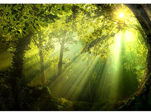 Runa Art Fototapete Wald Sonne Modern Vlies Wohnzimmer Schlafzimmer - Made in Germany - 308 x 220 cm Grün 9102010a