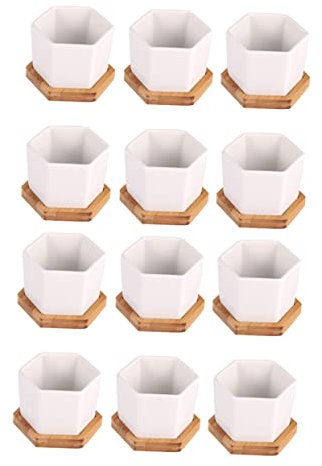 Toddmomy Zubehör 24 STK Blumentopf Aus Keramik Einmachgläser Pflanze Weiß Miniatur Pflanzendekor