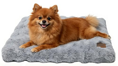 BingoPaw Dog Bed Medium Washable：Calming Crate Mattress with Removable Cover and Non Skid Bottom, Fluffy Anti Anxiety Waterproof Pet Beds, Puppy Pillow Cushion Grey, 76x51x10cm