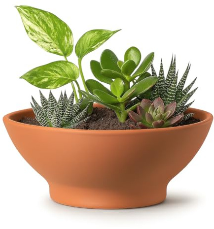 FRANCACOR Maceta Barro Natural Terracota Baja Redonda con PIE (Terrina Barro) (36 X 14 CMS)