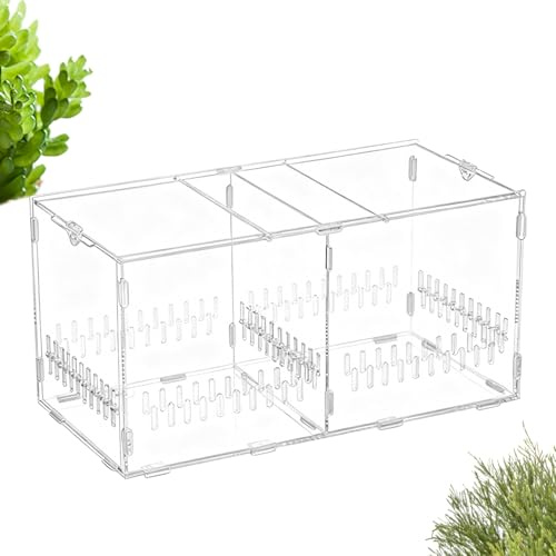 Generico Freilaufgehege – Atmungsaktiver transparenter Käfig, langlebiges Terrarium für Reptilien mit Deckel, belüftetes Habitat | Schildkröte, Schlange, Krebse, Pflanze, Sand,
