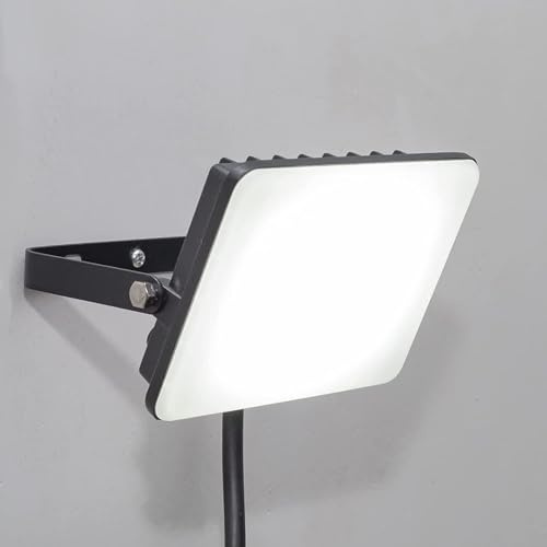 Planetitaly Faretto LED Esterno 10W, 900 Lumen, Faro Impermeabile IP65, Proiettore luce 6400K Bianco Freddo, Lampada Luce Sicurezza, Illuminazione Giardino Garage Cortile Patio (10 watt)