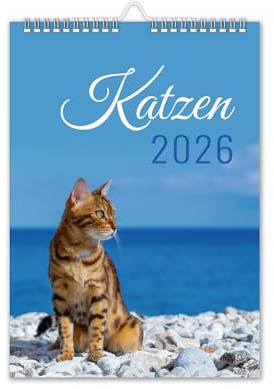 Calendrier 2026 - Calendrier mural - Format A4 - Motif chat - Avec vacances scolaires - Motif chat - Mer