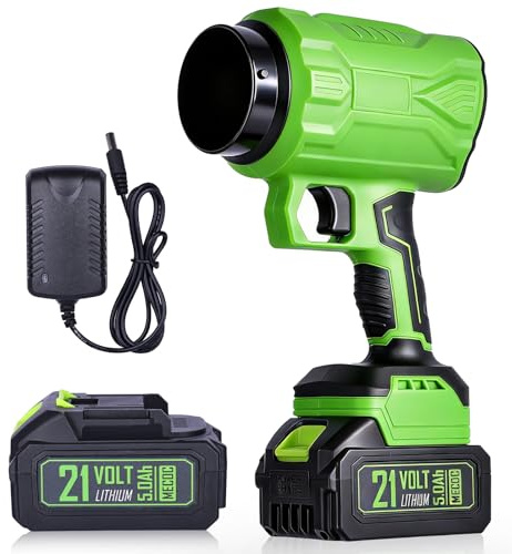 Securex Souffleur Batterie Vert 550W, Compact & Léger 2,2 kg | Jet 210 km/h | 2×4,0Ah Batteries | Multi-Usage : Jardin, Voiture, Poussière, BBQ | 2 Buses & Chargeur