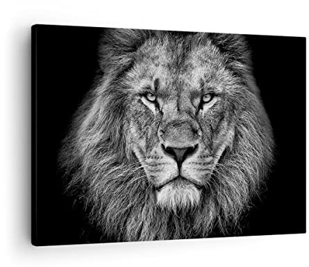 Bilder auf Leinwand Porträt Löwe Schwarzweiß Leinwandbild 70x50cm Wandbilder Dekoration Wohnzimmer Schlafzimmer Küche Deko Klein Wanddeko Bild Wand Kunstdruck Art Wall Decor Canvas AA70x50-4494