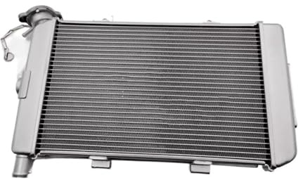 Radiatore moto radiatore Per C&FMOTO Per 650GT 400GT Serbatoio Dell'acqua Gruppo Radiatore Antigelo Refrigerante Raffreddamento STRIVING BIRD(650gt)