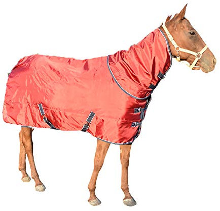 MaJu Pferdesport Outdoor Winter Verdicken Baumwolle Pferdeteppich Mit Lätzchen Abnehmbar Wind- Und Regensicher(Size:145cm)