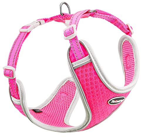 ThinkPet No-Pull Hundegeschirr Leine Set, Atmungsaktiv Brustgeschirr für Kleine Mittlere Große Hunde, Einstellbar Weich Laufgeschirre Sicher Kontrolle Gepolstert Reflektierendes Sicherheitsgeschirr