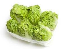 1000 ICEBERG semi di lattuga 2018