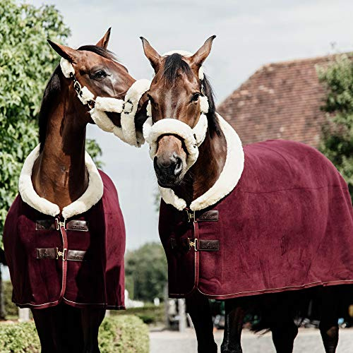 Kentucky - Schweißdecke - Fleece Bordeaux - 155