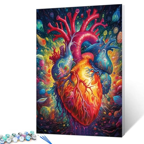 Walarky Herz-Anatomie Malen nach Zahlen Erwachsene Anfänger Blutfluss Kunstbild Geschenk Ölgemälde-Sets auf Leinwand mit Pinseln Acrylpigment Digitale Malerei Heimwanddekor 16x20 Zoll (Ohne Rahmen)