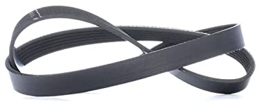 INA fB 6PK1070 courroies de distribution, Black/White