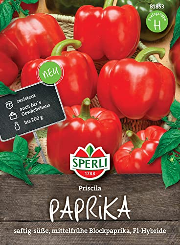 Sperli 81853 Paprika Priscila F1, blockigen kräftig roten Früchte werden ca. 200 g schwer, Für Anbau im Gewächshaus und Freiland geeignet