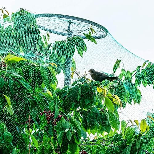 PanHuiWen Schutznetz Garten Fussball GemüSeschutznetz Meterware Vogelschutzgitter 1.5 x1.5cm große Teichnetz Vogelnetz Geflügelnetz Gartennetz,10x15m