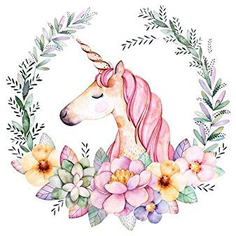 Goldkindzauber DIY Aufbuegler Patch Sticker Applikation Einhorn Aufnaeher Kleidung Patches Zum Aufbügeln