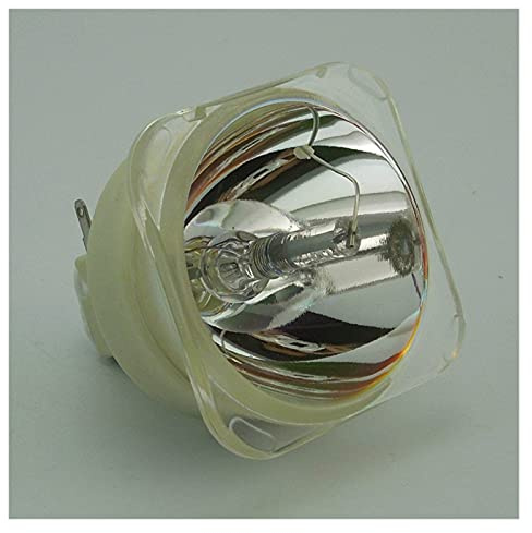 SDPOLHYGF Lampe de projecteur de Remplacement BL-Fu310B / De.5811118436 Lampe Nue du projecteur de Rechange Fit pour Optoma EH500 DH1017 x600 Ampoule de Lampe de projecteur