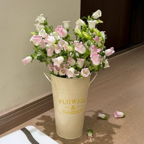 Semi di campanula-Campanula media,resistenti in vaso,decorative di semi di,da esterno da balcone,da giardino giardino decorativo 150pcs