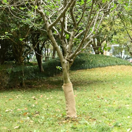 Mokuyary Rouleau de Jute 0,5x50 m 100% Jute 200 g/m² pour Jardin, Terrasse