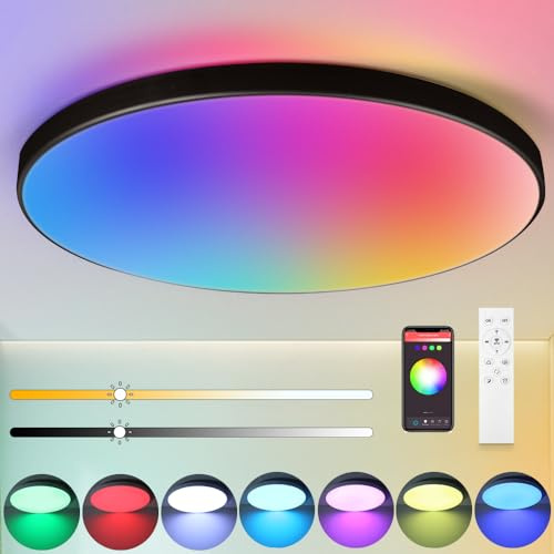LED Ceiling Light IP44, 12 Inch 24W Smart Ceiling Lights RGB Dimmable with Remote Control Bathroom Lamps 3000-6500K 2520LM for Living Room, Bedroom, Kitchen, Hallway, Round, Black