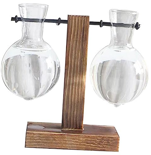 Kisangel 2stücke Hydroponische Vase Aus Glas Für Zimmerpflanzen Wasserpflanzer Mit Holzständer Transparente Blumenvase Für Home Office Dekoration Temperaturbeständig Und Einfach Zu Montiere