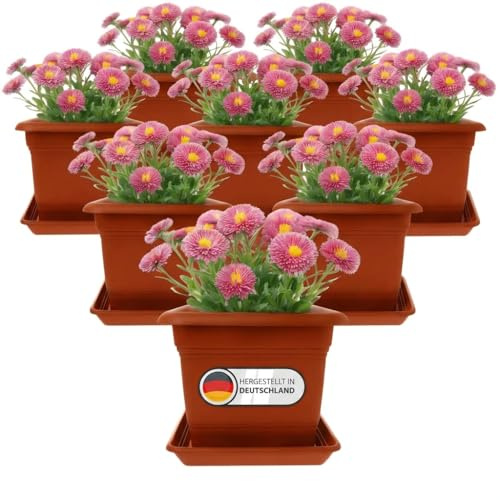 2friends 8er Set Blumenkübel groß außen 28 cm | Pflanzkübel Terracotta mit Untersetzer | Blumentopf 28 cm Durchmesser | Made in Germany | Frostsicher & UV-beständig | Premium PP-Kunststoff