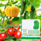 Malla para Plantas Trepadoras,Malla Entutorar Pepino 2m x 5 m,Malla Entutorar para Sostener Plantas y Verduras,Malla Verde Jardin Incluye 50 Pinzas para Fijar Plantas y10 Pinzas para Plantas