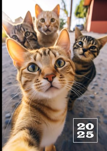 2025: Terminkalender mit Uhrzeit | 1 Tag auf 1 Seite mit Zeiteinteilung | A4 Tagesplaner | Kalenderbuch Planer | Business Zeit Timer | Buchkalender ... Reservierungsbuch | Lustige Katzen